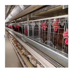 H Jenis Peralatan Peternakan Unggas Lapis Otomatis Baterai Sistem Kandang Lapisan Telur Ayam