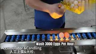 Pencuci Telur 200A