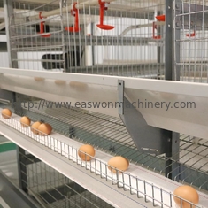 Q235 Baja Peralatan Peternakan Unggas Otomatis Kandang Ayam Petelur Untuk Ayam Petelur
