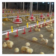 Peralatan Peternakan Unggas Otomatis Kandang Ayam Dengan Sistem Ventilasi